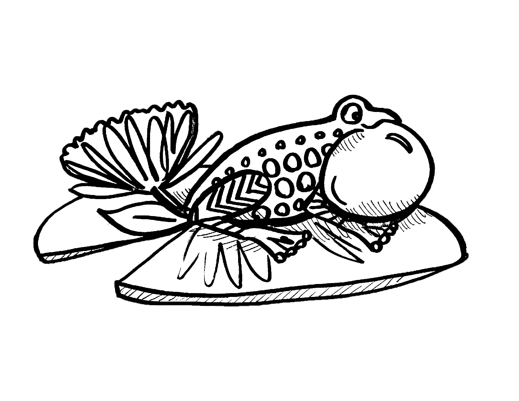 Coloring page of a frog on a lily pad